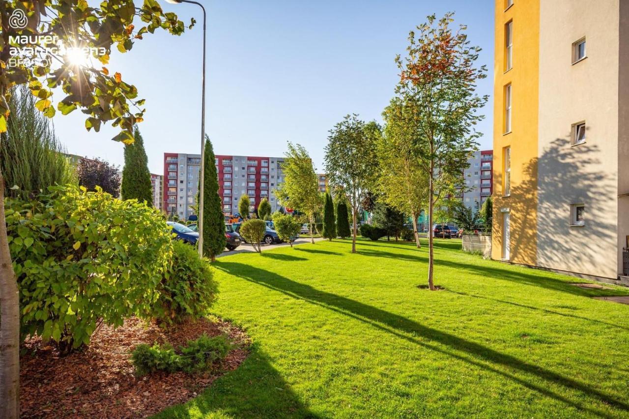 Apartment Richy Brasov Exterior photo